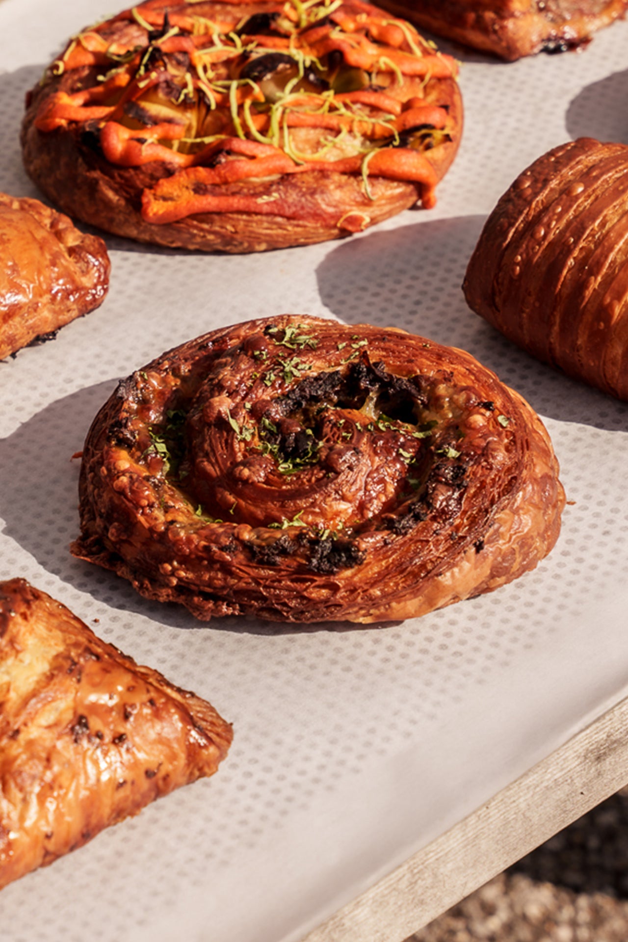 Mushroom Swirls