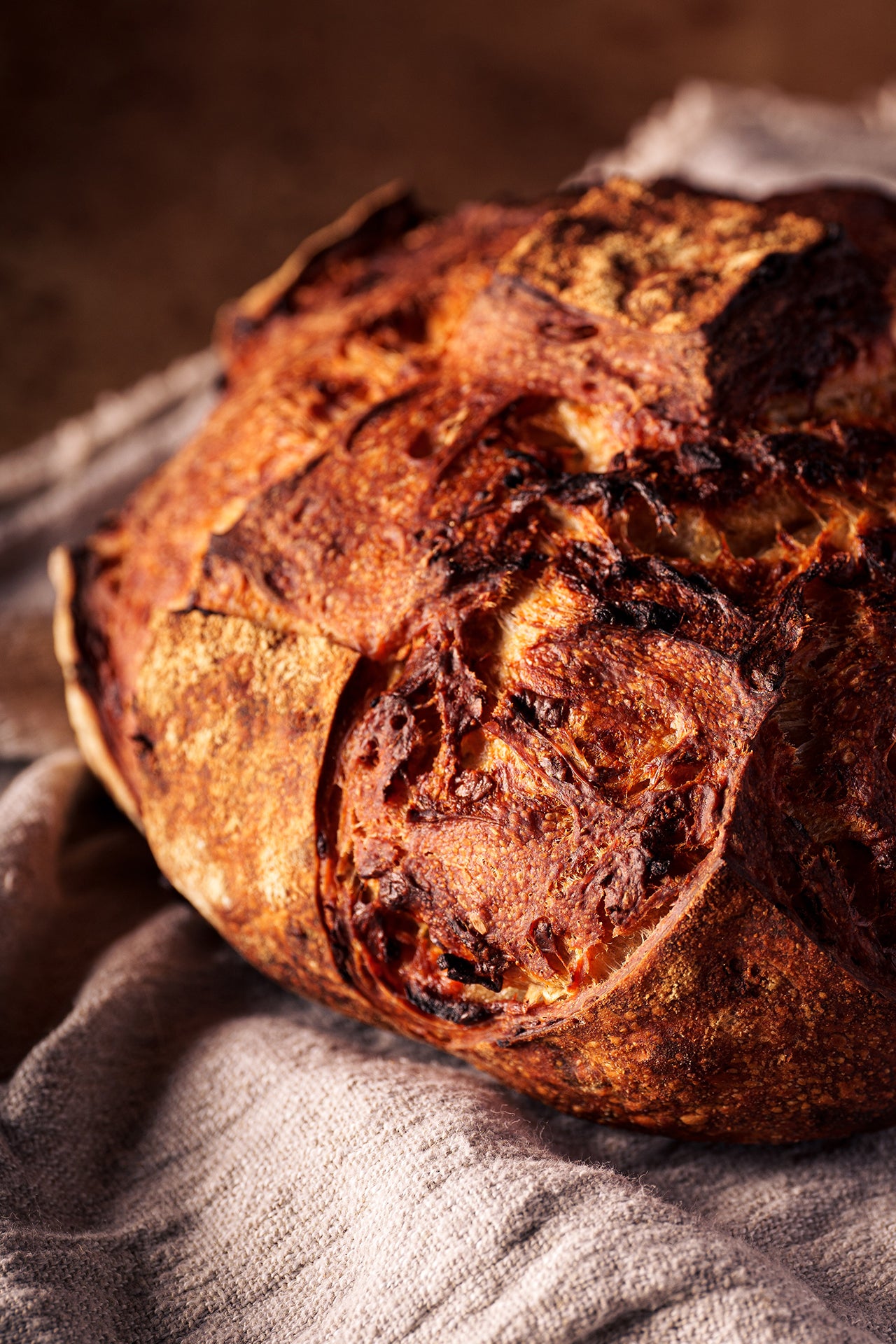 Cheddar & Onion Loaf