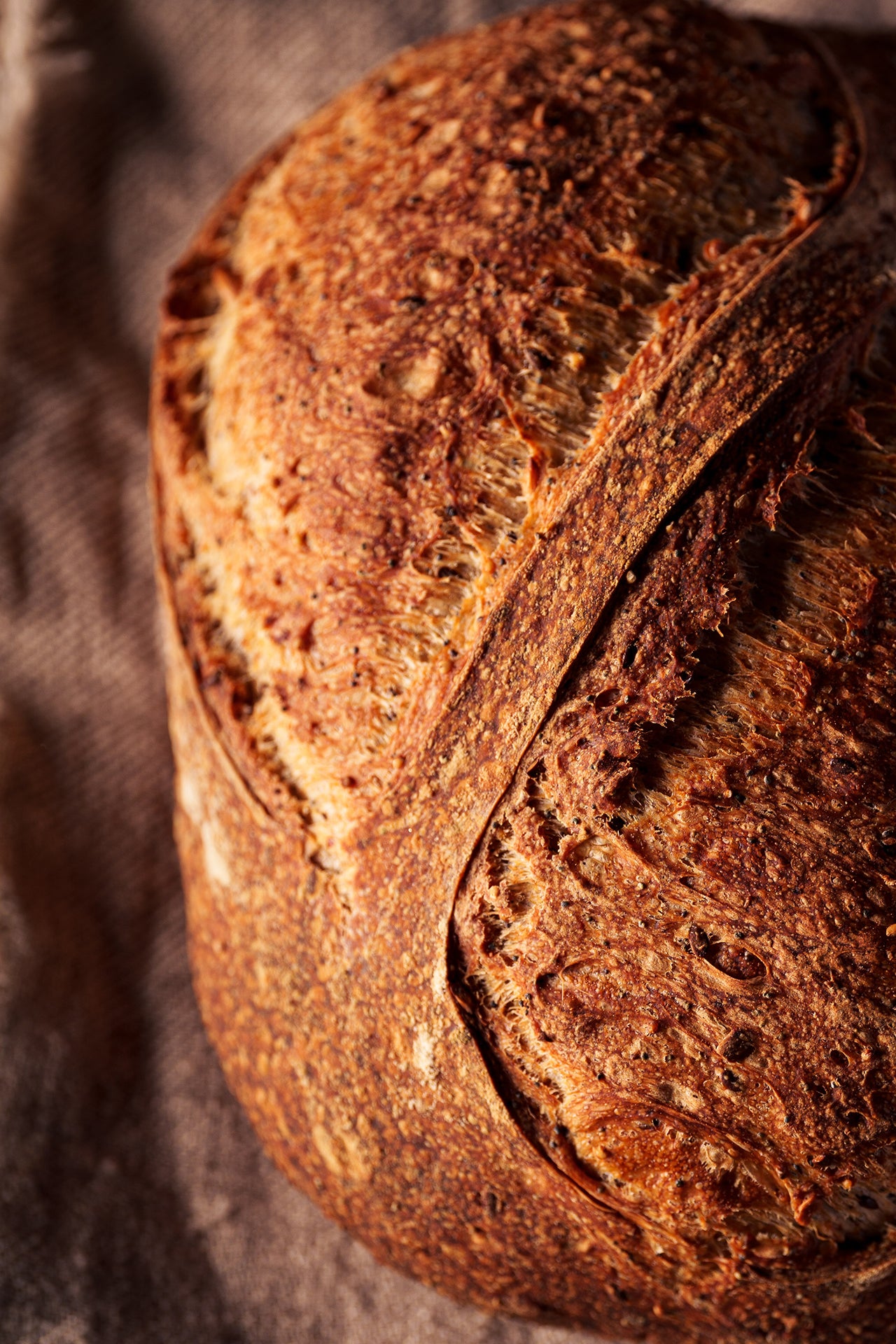 Seeded Country Loaf