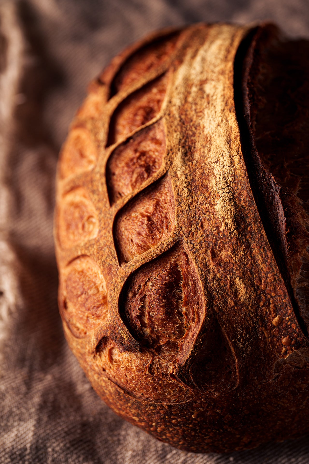 Oxford Country Loaf