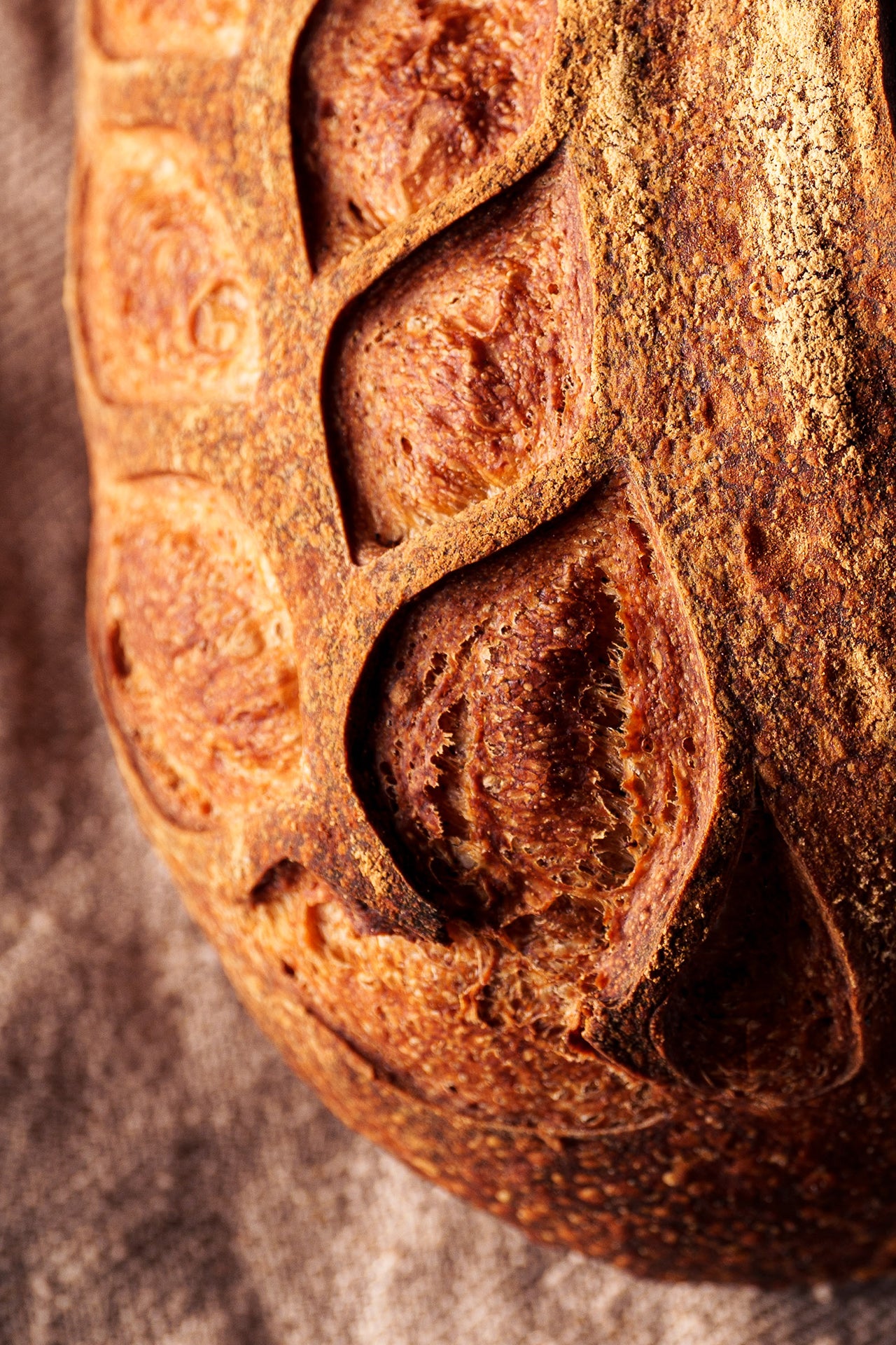 Oxford Country Loaf